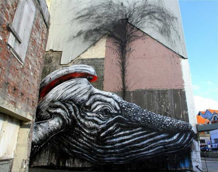 roa13