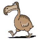 dodooiseau