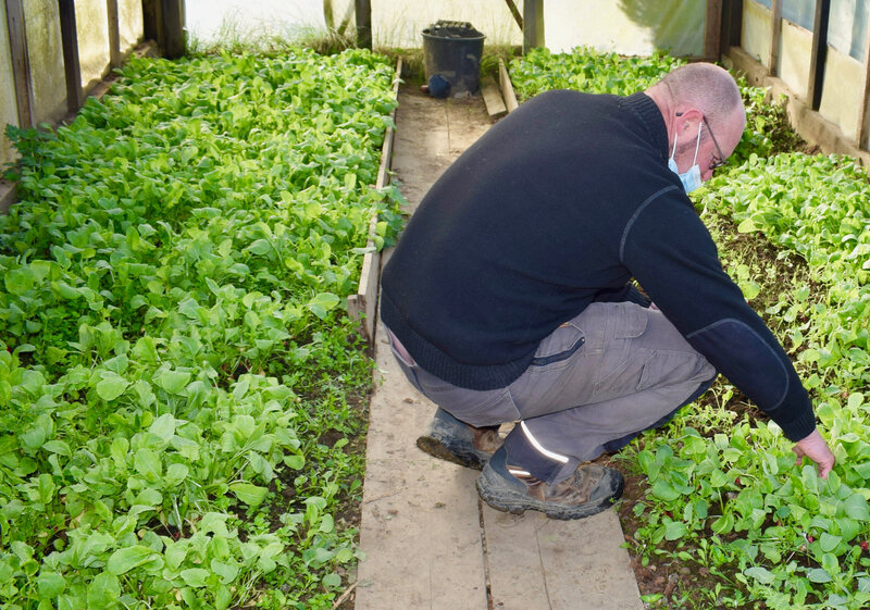JARDINS SOLIDAIRES AVRIL 2021 Willy Williot