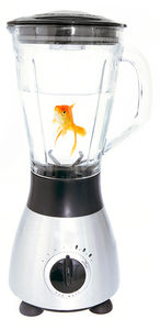 FishInBlender