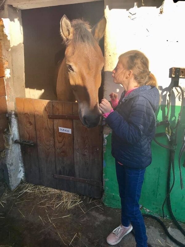 cheval