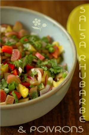 Salsa_de_rhubarbe___poivrons_1