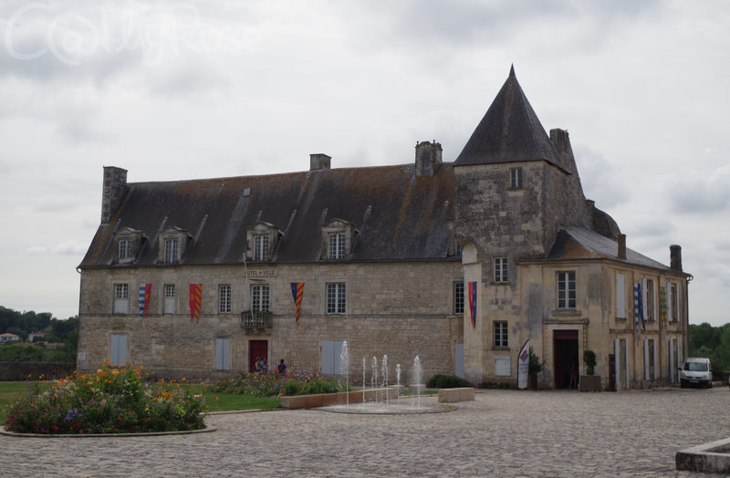 && Pons château (1)