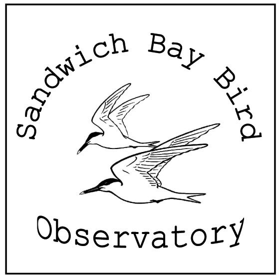 Sandwichbay