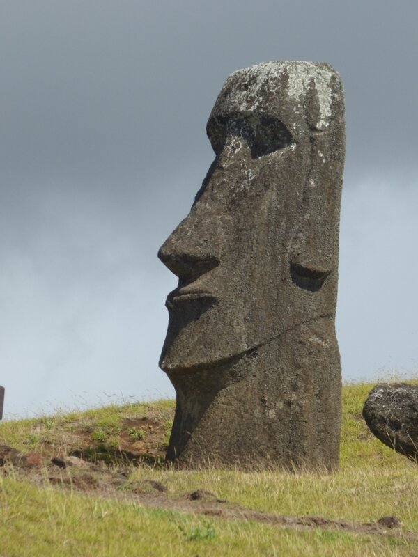 50 Moai Rano Raraku