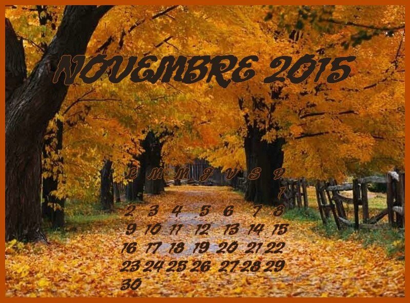 Novembre 2015