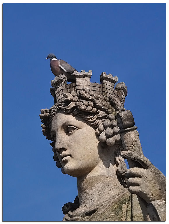 Paris_statue_pigeon
