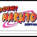 Naruto Shippuuden !