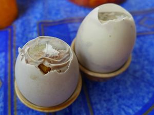 Pregnant duck eggs (1024x768)