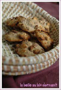 Rochers_muesli_1