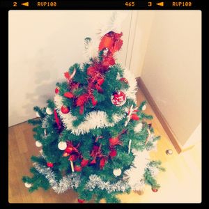 My_Christmas_Tree_2011__3_