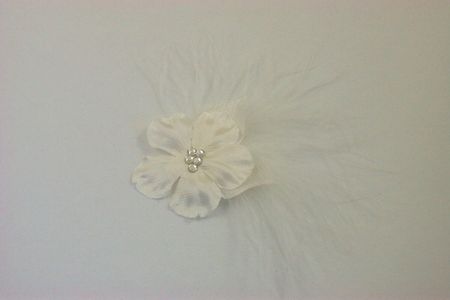 fleurmarabout