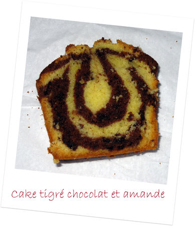cake_tigr_