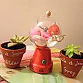 Pots de succulents DIY, plantes grasses, <b>cadeaux</b> <b>invités</b>