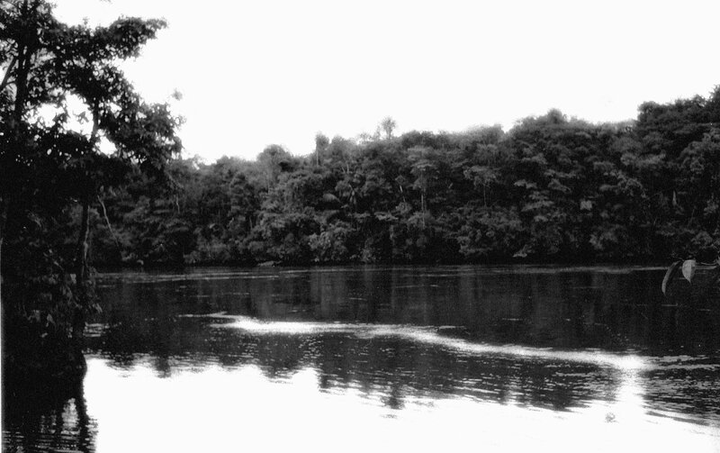 Fleuve MARONI photo Bernard-Montagnon