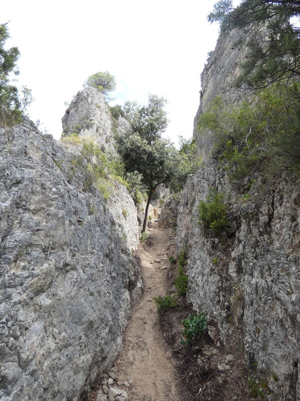 Moureze_13-08-2020(7)