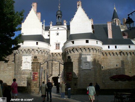7218_Chateau_Nantes