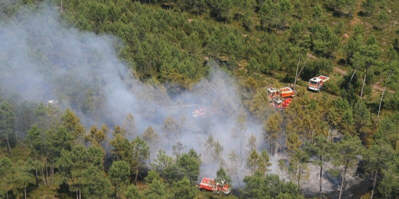 90 pompiers mobilisés hier pour un feu de forêt