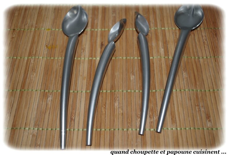 cuillère du chef-9273