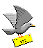 pigeon voyageur