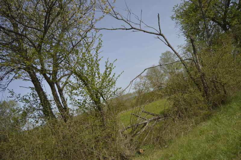 _DSC0083
