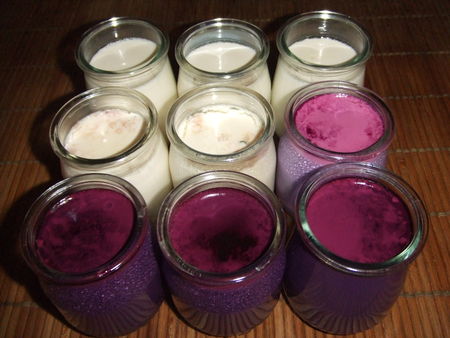 Yaourts natures, à la violette ou au coquelicot recettes dessert Fontainebleau aux biscuits de Reims et au sirop au Coquelicot