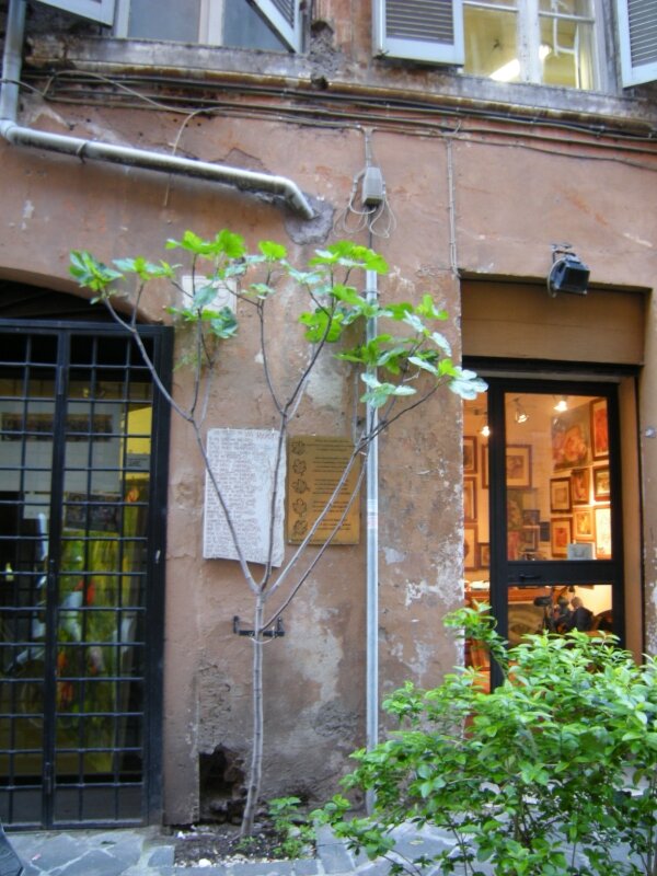 Rome avril 2009 055