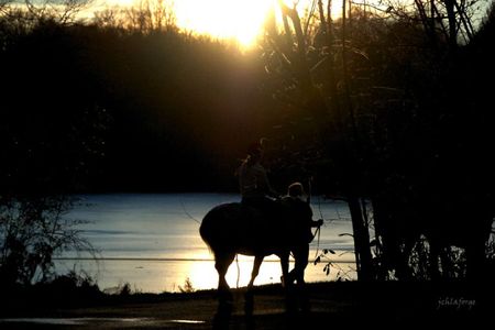 Busserolles et etang grolier cavalier 11 01 2009 (9)