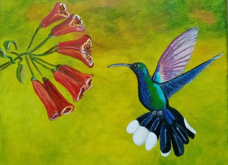 Christiane colibri