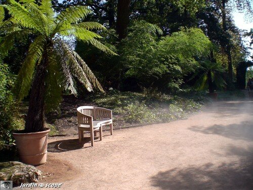 Petit banc dans le sentier des brumes au Parc floral Orléans