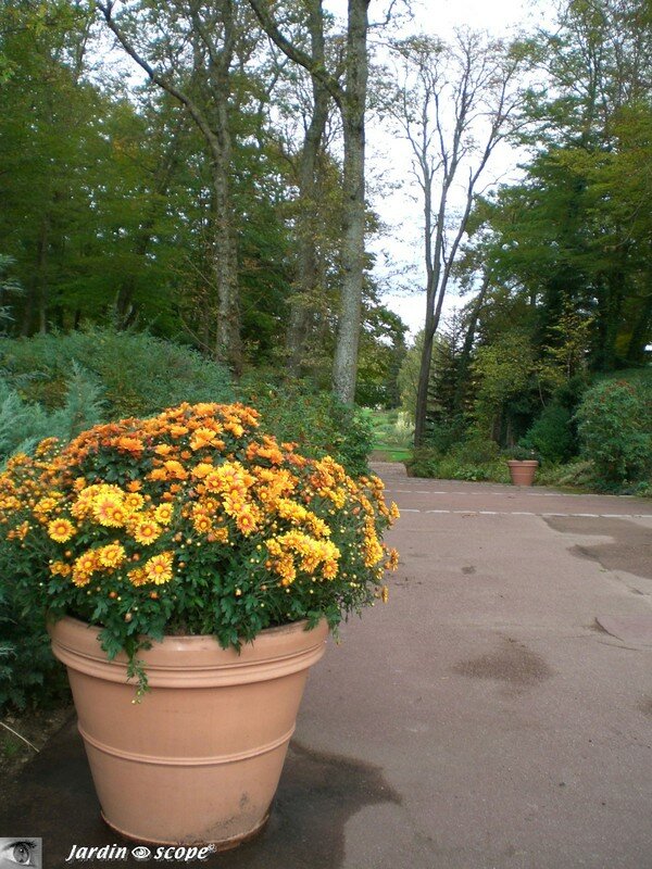 Entrée du parc en automne