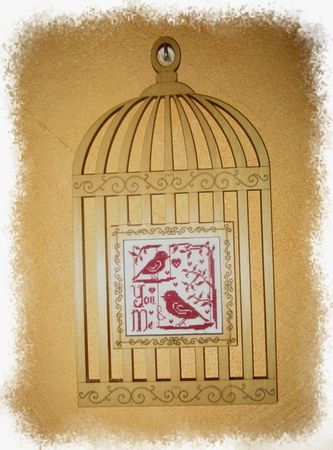 Cage oiseaux-MANUE