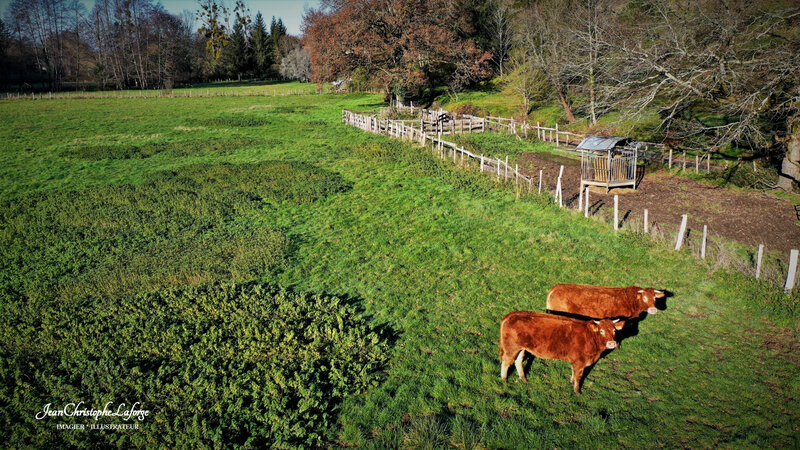 VITRAC St Vincent DRONE Dec 2020 (2)