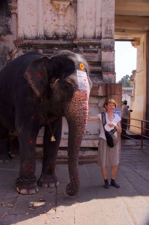 Anne et l'éléphante
