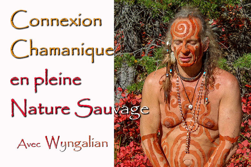 interview wyngalian octobre 2020