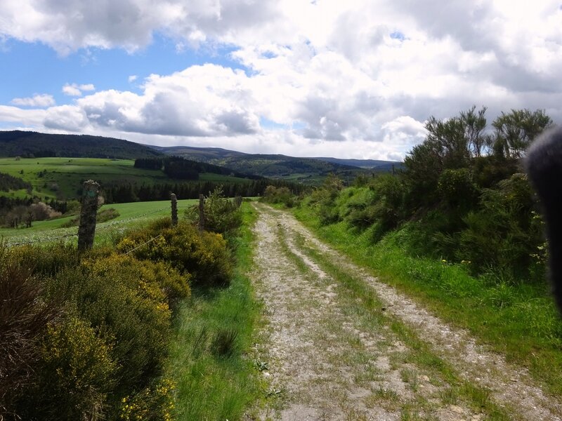 Au Col Santel, sous le Mont Lozère