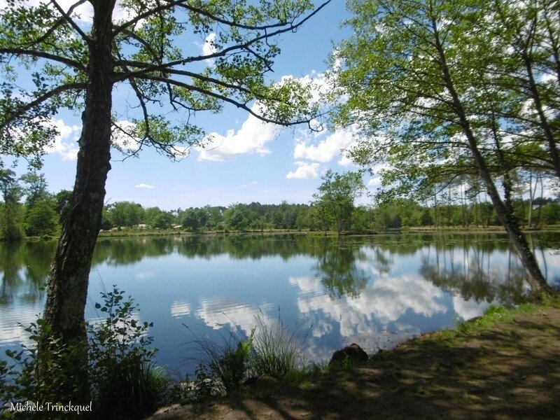 1-Etang de la Glacière 140517