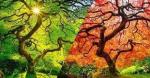 Paysagiste-Bayonne-Octobre-au-jardin