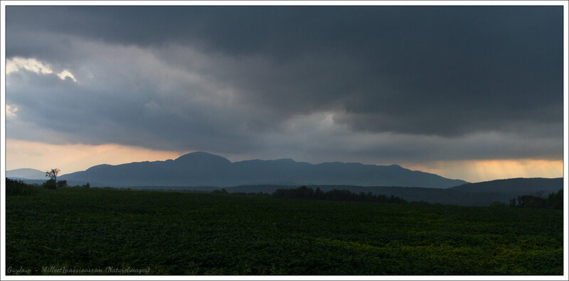 IMG_7485-1