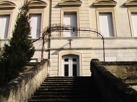 Photo8