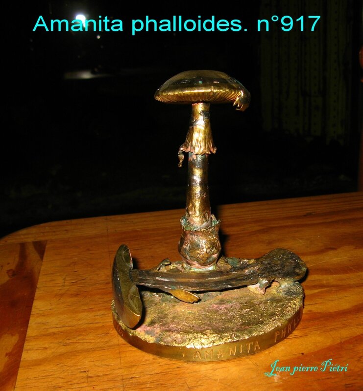 Amanita phalloides et coupe n°917