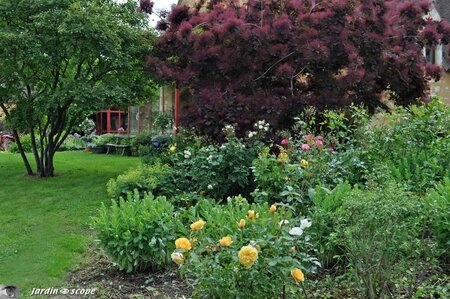 Jardin-François-0015
