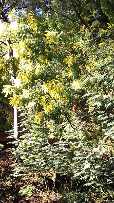 20190203_150547