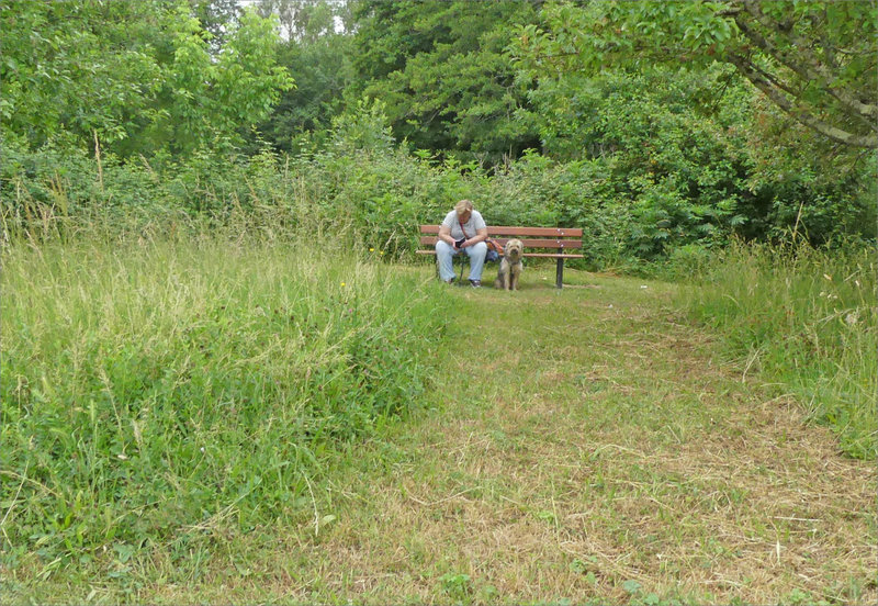 banc lectrice chien 260522