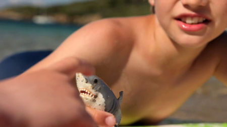les_requins_de_la_mer