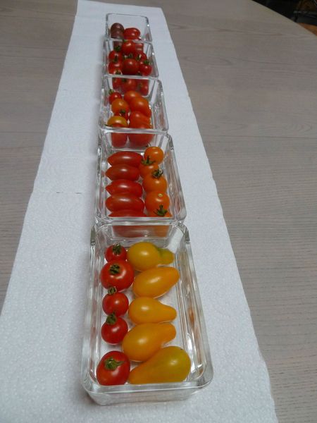 tomates cerises déco de table (6)