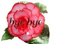 bye_bye