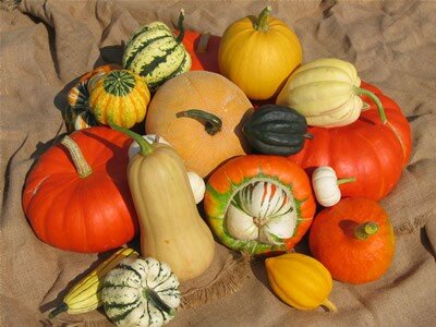 collection_courges
