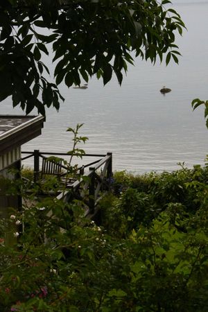 IMG_9071