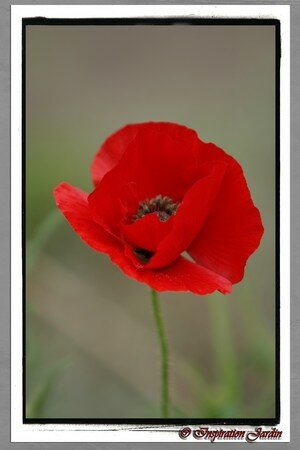 IMG_2741copie1